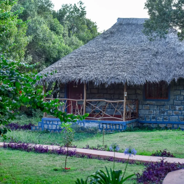 Kenya Group Joining Safaris: Affordable Tours & Best Value Packages
