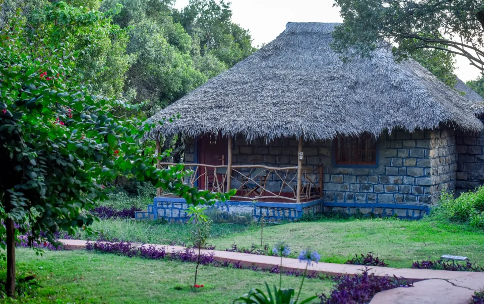 Kenya Group Joining Safaris: Affordable Tours & Best Value Packages