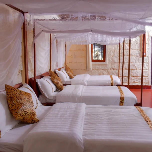 Affordable Masai Mara 3-Day Private Safari Package