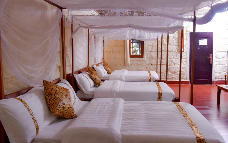 Affordable Masai Mara 3-Day Private Safari Package