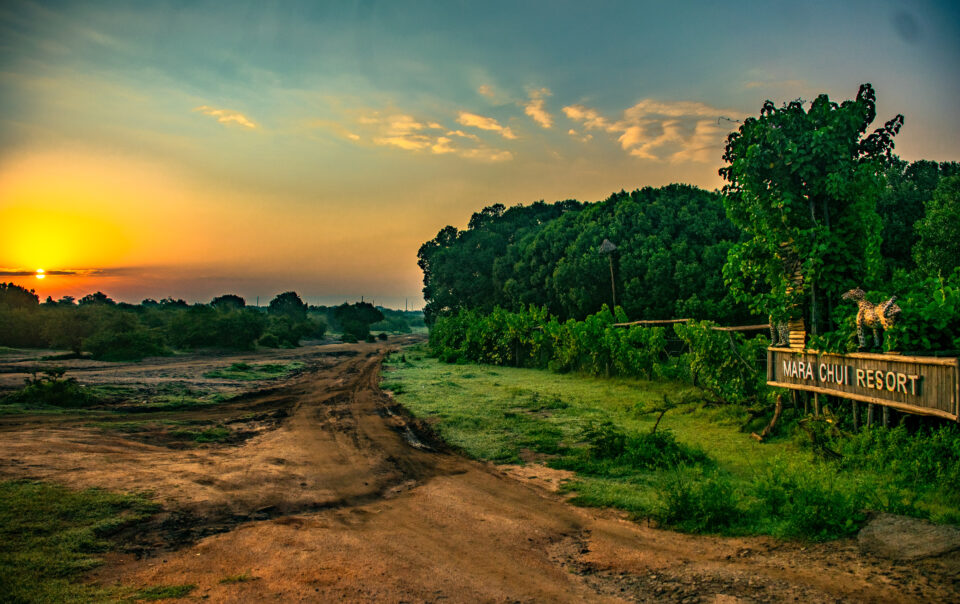Masai Mara Safari Lodge