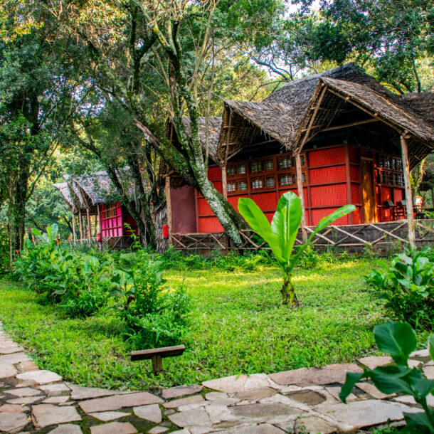 Accommodation in Masai Mara