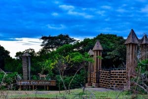 3 days Masai Mara Budget safari Mara Chui