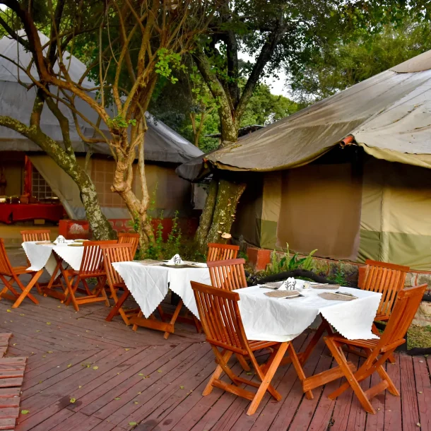 Masai Mara 3-Day Private Safari Package