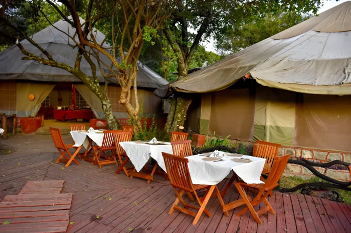 Masai Mara 3-Day Private Safari Package