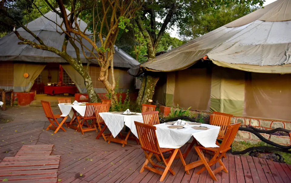 Masai Mara 3-Day Private Safari Package
