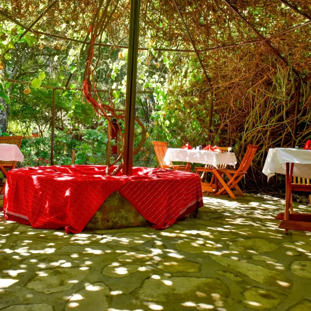 3 Days Masai Mara Shared Safari Experience