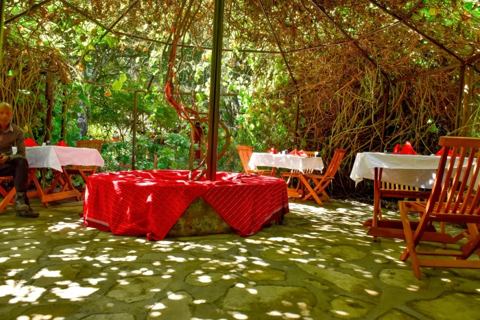 3 Days Masai Mara Shared Safari Experience