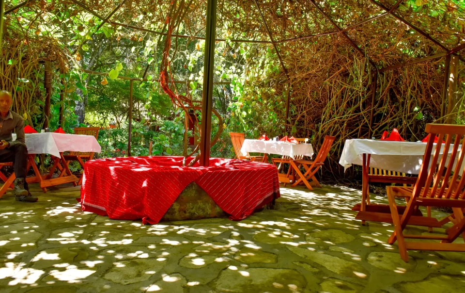3 Days Masai Mara Shared Safari Experience
