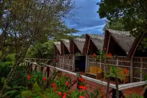 3 Days Masai Mara Shared Safari Experience