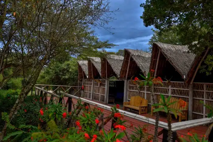 3 Days Masai Mara Shared Safari Experience
