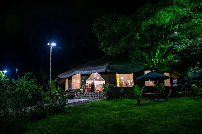 3 Day Masai Mara Safari from Nairobi | Best Kenya Safari Experience