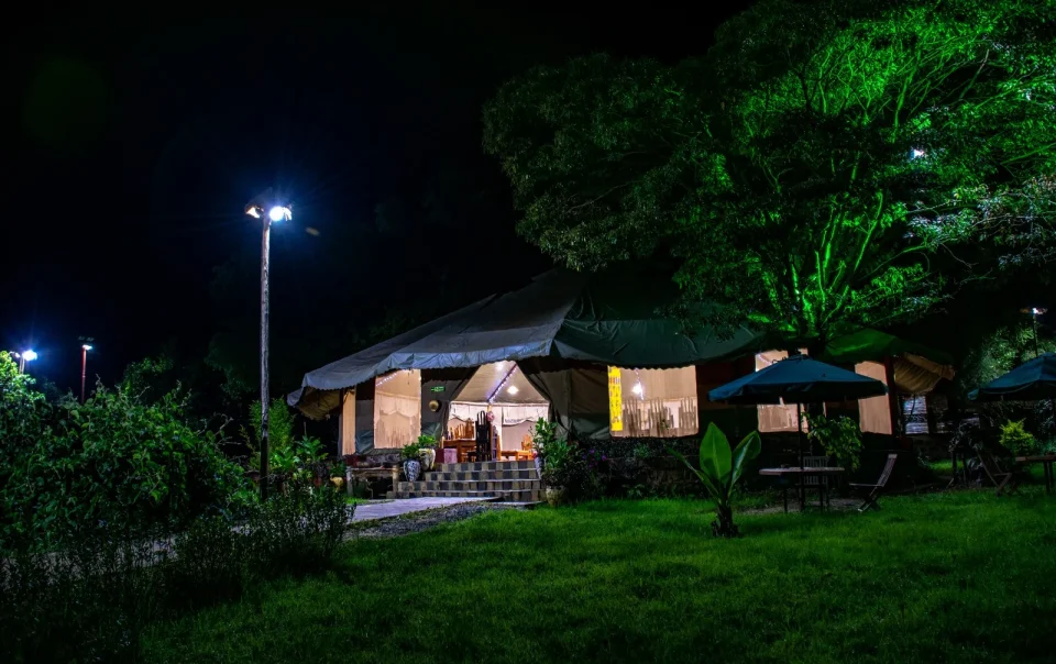 3 Day Masai Mara Safari from Nairobi | Best Kenya Safari Experience