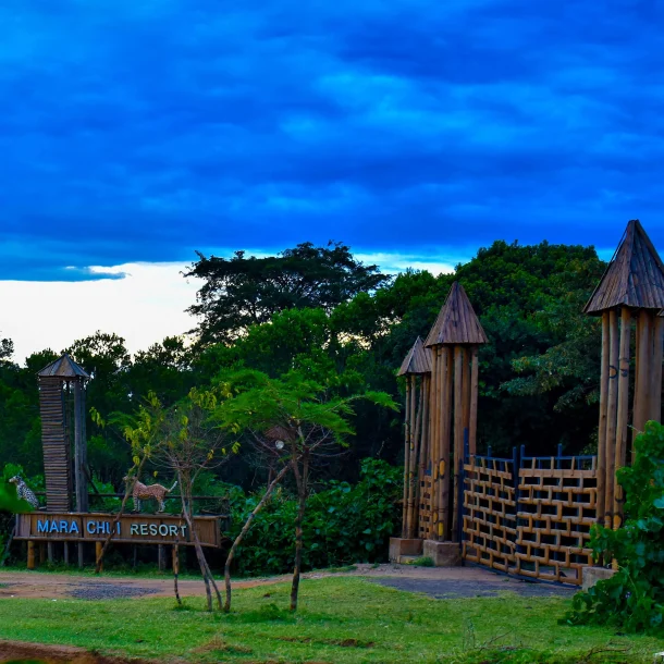 3 Day Masai Mara Safari from Nairobi