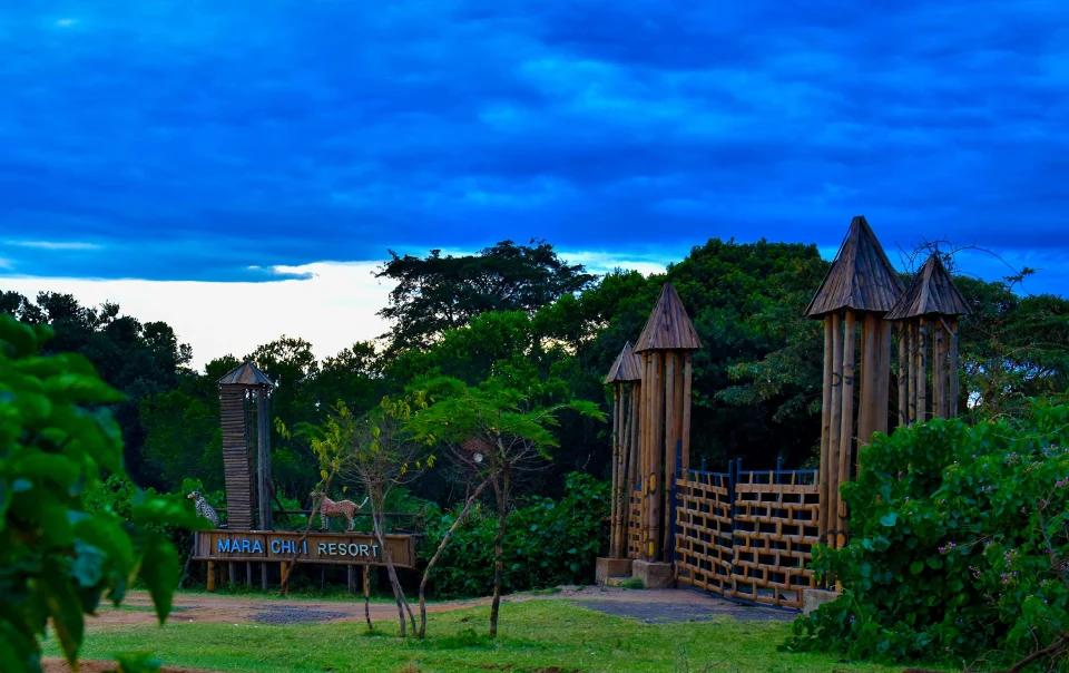 3 Day Masai Mara Safari from Nairobi